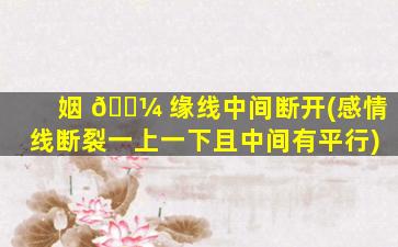 姻 🐼 缘线中间断开(感情线断裂一上一下且中间有平行)